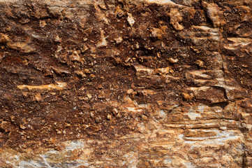 roccia