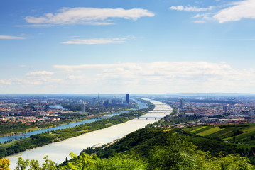 Fototapeta premium Wien mit Donau