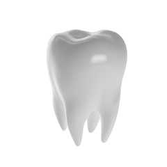 human tooth on a white background