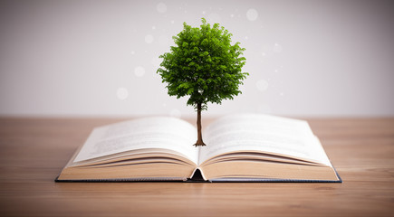 Tree growing from an open book