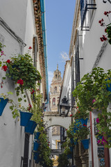 Fototapeta na wymiar Calleja de las Flores in Cordoba, Andalusia, Spain.