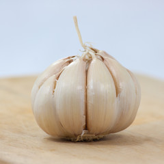 Garlic