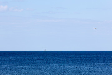 Obraz premium Segler am Horizont