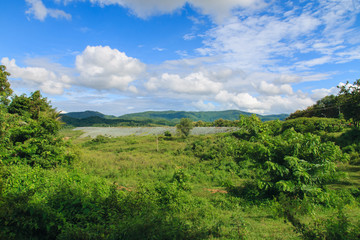 Obraz premium Wide field landscape with blue sky.
