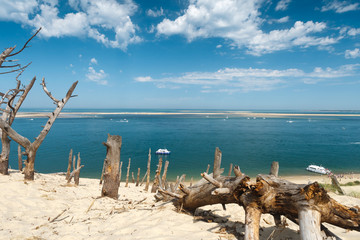 sable, arbres, soleil et ciel bleu