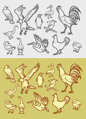Fototapeta premium Poultry icons sketch and vintage style