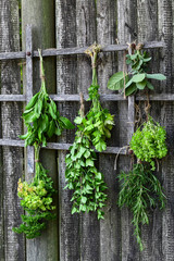 Set of herbs hanging and drying on a wooden fence