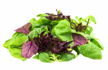 Italian Style mix Salad. Isolated on white background