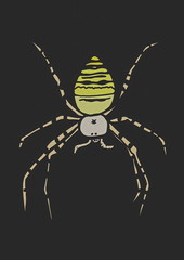 doodle grunge Black and Yellow Garden Spider