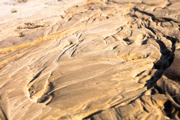 Sand surface with the relief formed by water currents