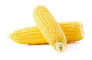 Ripe corn closeup.