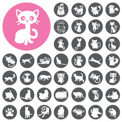 Cats collection icons set. Illustration eps10