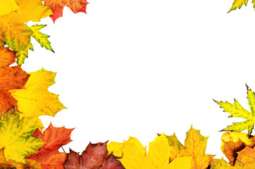 Fototapeta premium Autumn leaves frame