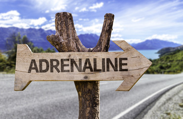 Adrenaline wooden sign with a street background