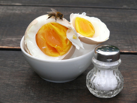 fr&uuml;hst&uuml;cksei mit biene