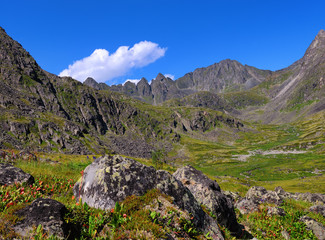 Siberian mountain tundra