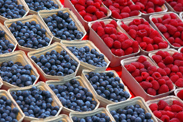 background of ripe red raspberries