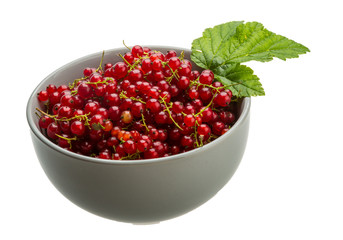 Red currant
