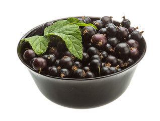 Black currant