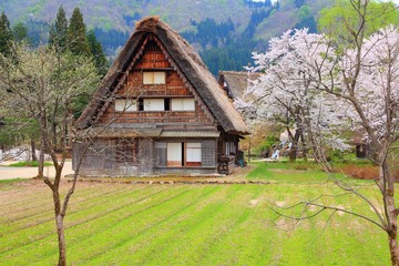 Fototapeta na wymiar Japan village - Shirakawa-go