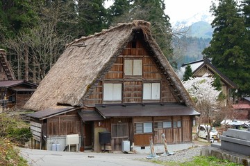 Fototapeta na wymiar Japan countryside - Shirakawa-go