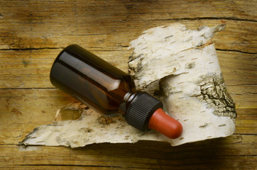 Betula Bouleau blanc Betulla Brzoza Берёза Huş قضبان (نبات) © Comugnero Silvana