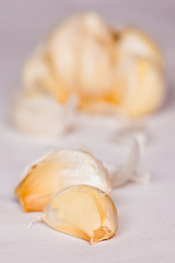Cloves of Garlic