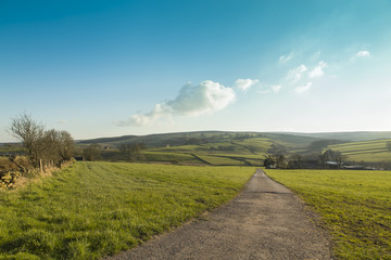 Obraz premium Down The Valley