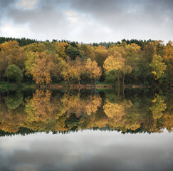 Beautiful vibrant Autumn woodland reflecions in calm lake waters