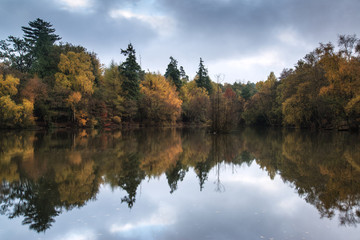 Beautiful vibrant Autumn woodland reflecions in calm lake waters