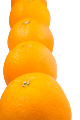 Orange fruits over white background