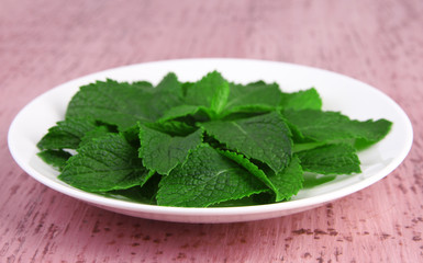 White round plate of fresh mint leaves on pink wooden
