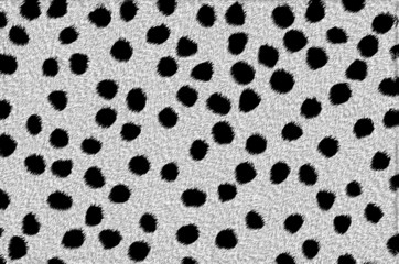 animal skin background