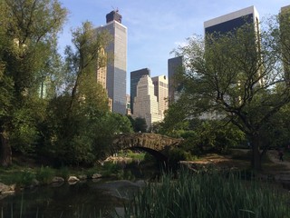 Central Park, New York City, USA