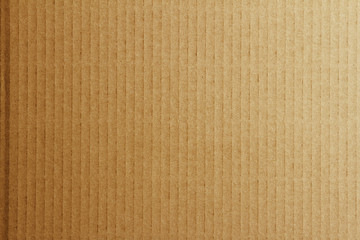 Cardboard
