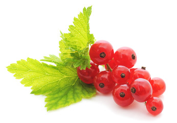 Red currants