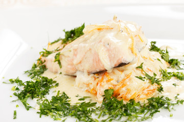 salmon steak