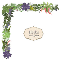 collection of herbs and spices for you design
