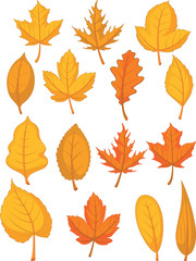 Fototapeta premium Leaves Set - Red Autumn Leaves