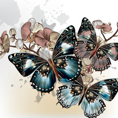 Obrazy  Moda tło wektor z motylami