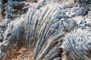 Weathered coastal rock formation