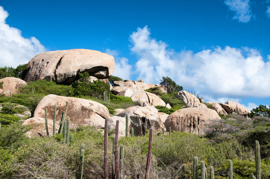 Cactus growing on the Ayo Rock formations