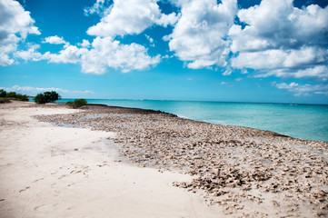Fototapeta na wymiar Famous Palm beach on Aruba, Caribbean