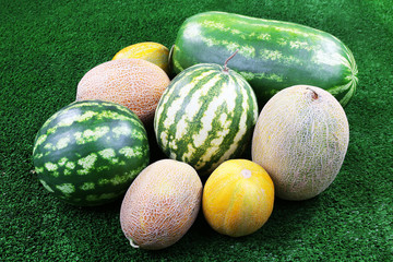 Melons and watermelons on green background