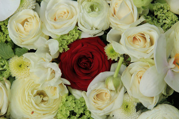 Red rose in white bridal bouquet