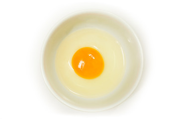 fried egg