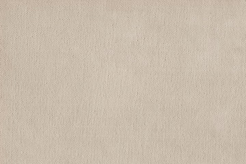 Artist Single Primed Cotton Duck Canvas Extra Coarse Grunge Text