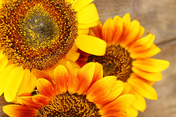 Obraz premium Beautiful sunflowers on wooden background