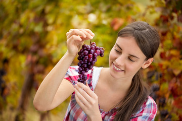 female vintner inspecting grapes