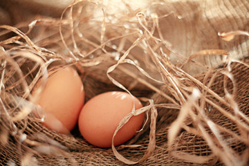 chicken eggs on the farm